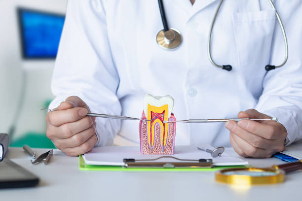 Best Emergency Tooth Extraction in Nottingham, PA
